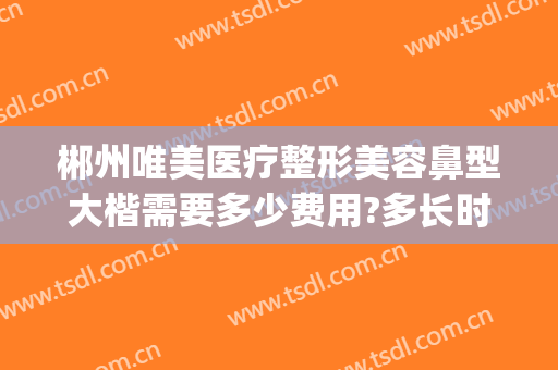 郴州唯美医疗整形美容鼻型大楷需要多少费用?多长时间恢复?(郴州唯美医疗美容医院)