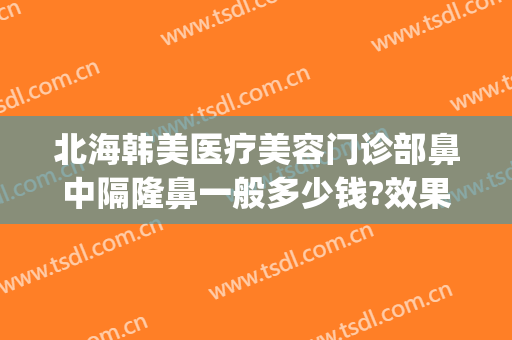 北海韩美医疗美容门诊部鼻中隔隆鼻一般多少钱?效果怎么样?(北海韩美整形医院地址)