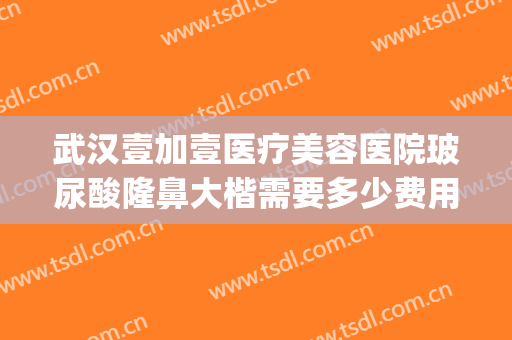 武汉壹加壹医疗美容医院玻尿酸隆鼻大楷需要多少费用?效果怎么样?(武汉美加壹医疗美容医院怎么样)