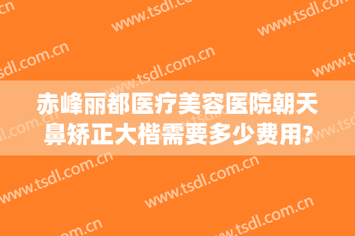赤峰丽都医疗美容医院朝天鼻矫正大楷需要多少费用?有哪些优势?(赤峰隆鼻多少钱)