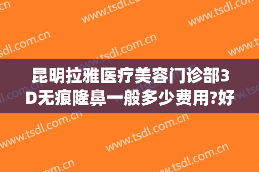昆明拉雅医疗美容门诊部3D无痕隆鼻一般多少费用?好不好?(昆明隆鼻的一般费用)