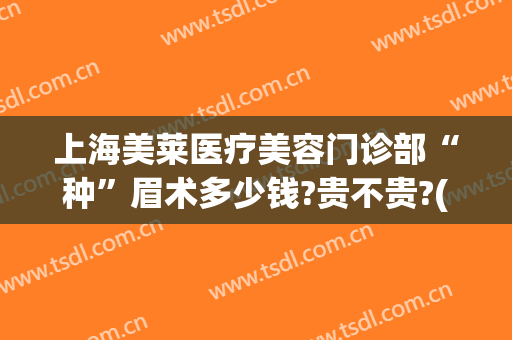 上海美莱医疗美容门诊部“种”眉术多少钱?贵不贵?(上海植眉多少钱)