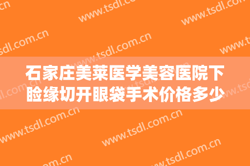 石家庄美莱医学美容医院下睑缘切开眼袋手术价格多少钱?可靠吗?(医美割眼袋)