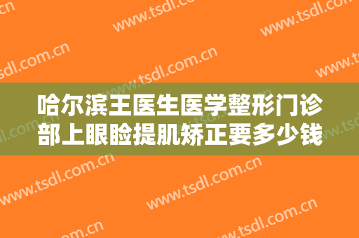 哈尔滨王医生医学整形门诊部上眼睑提肌矫正要多少钱?需要多久恢复?