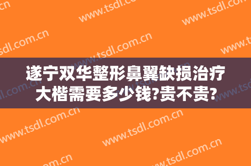 遂宁双华整形鼻翼缺损治疗大楷需要多少钱?贵不贵?