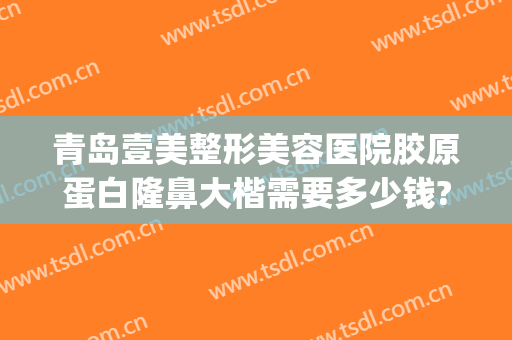 青岛壹美整形美容医院胶原蛋白隆鼻大楷需要多少钱?需要多久恢复?(青岛壹美整形美容医院好吗)