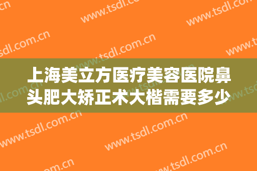 上海美立方医疗美容医院鼻头肥大矫正术大楷需要多少费用?可靠吗?(鼻头肥大整形费用)
