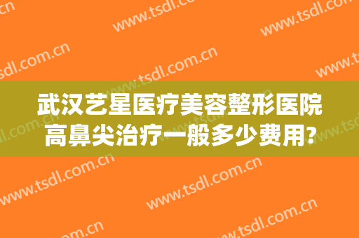 武汉艺星医疗美容整形医院高鼻尖治疗一般多少费用?可靠吗?(上海艺星医疗美容医院整形口碑好吗)