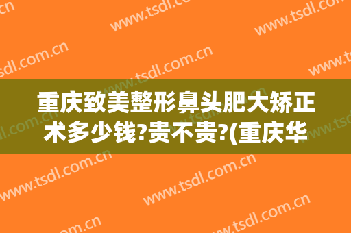重庆致美整形鼻头肥大矫正术多少钱?贵不贵?(重庆华美整形美容医院做鼻子好多钱)