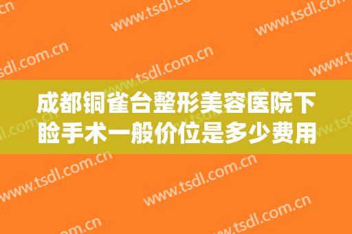 成都铜雀台整形美容医院下睑手术一般价位是多少费用?好不好?(成都铜雀台哪个医生做双眼皮好)