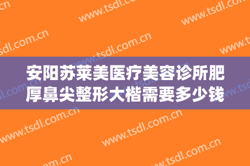 安阳苏莱美医疗美容诊所肥厚鼻尖整形大楷需要多少钱?靠谱吗?(高鼻梁整形多少钱)