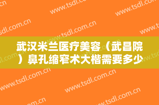 武汉米兰医疗美容（武昌院）鼻孔缩窄术大楷需要多少费用?需要多久恢复?