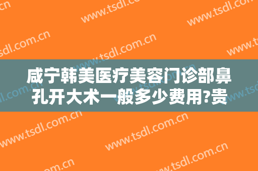 咸宁韩美医疗美容门诊部鼻孔开大术一般多少费用?贵不贵?