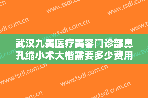 武汉九美医疗美容门诊部鼻孔缩小术大楷需要多少费用?好不好?