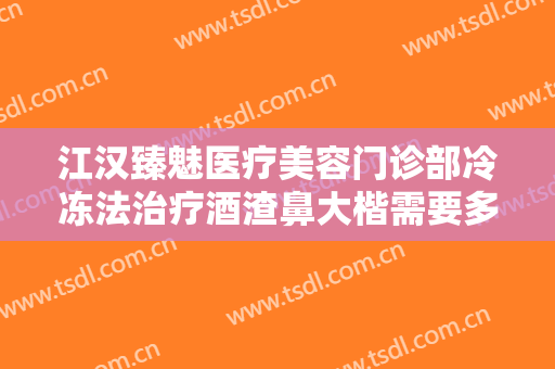 江汉臻魅医疗美容门诊部冷冻法治疗酒渣鼻大楷需要多少费用?好不好?