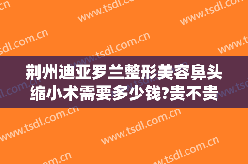 荆州迪亚罗兰整形美容鼻头缩小术需要多少钱?贵不贵?(荆州鼻部整形手术价格)
