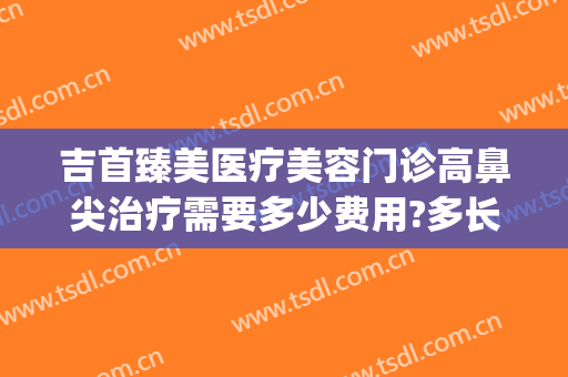吉首臻美医疗美容门诊高鼻尖治疗需要多少费用?多长时间恢复?(吉首臻美整形医院)