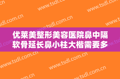 优莱美整形美容医院鼻中隔软骨延长鼻小柱大楷需要多少费用?需要多久恢复?