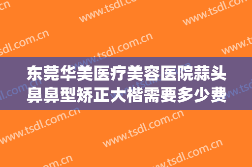 东莞华美医疗美容医院蒜头鼻鼻型矫正大楷需要多少费用?好不好?(华美整形医院做鼻子多少钱?)