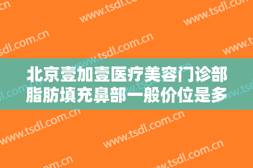 北京壹加壹医疗美容门诊部脂肪填充鼻部一般价位是多少费用?好不好?