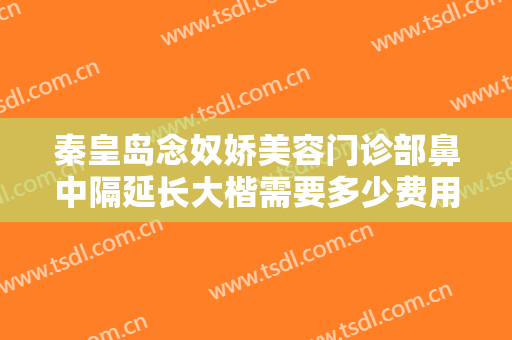 秦皇岛念奴娇美容门诊部鼻中隔延长大楷需要多少费用?有哪些优势?