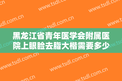 黑龙江省青年医学会附属医院上眼睑去脂大楷需要多少钱?怎么样?