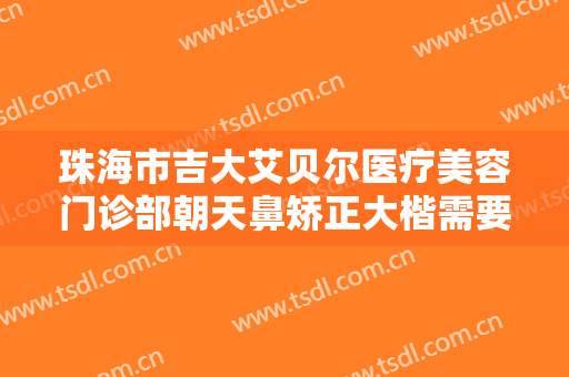 珠海市吉大艾贝尔医疗美容门诊部朝天鼻矫正大楷需要多少钱?贵不贵?