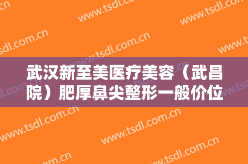武汉新至美医疗美容（武昌院）肥厚鼻尖整形一般价位是多少费用?靠谱吗?