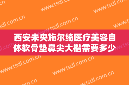 西安未央施尔绮医疗美容自体软骨垫鼻尖大楷需要多少钱?可靠吗?