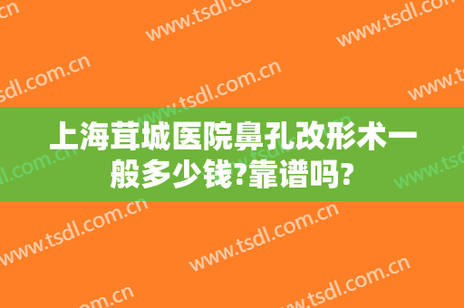上海茸城医院鼻孔改形术一般多少钱?靠谱吗?