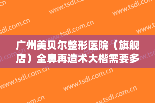 广州美贝尔整形医院（旗舰店）全鼻再造术大楷需要多少钱?贵不贵?(美贝尔做鼻子怎么样?)