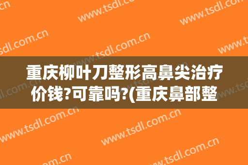重庆柳叶刀整形高鼻尖治疗价钱?可靠吗?(重庆鼻部整形最好的医生)