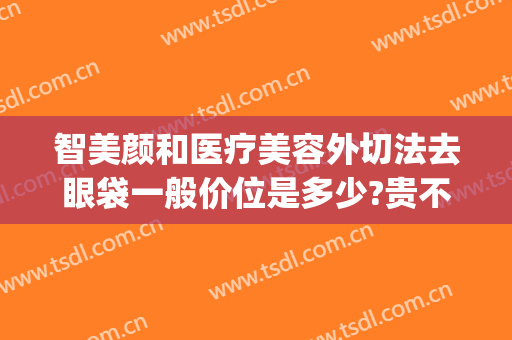 智美颜和医疗美容外切法去眼袋一般价位是多少?贵不贵?(广州医美去眼袋)