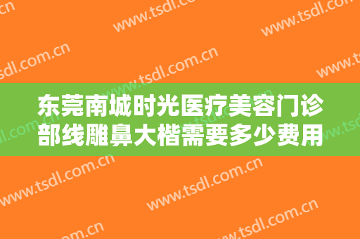 东莞南城时光医疗美容门诊部线雕鼻大楷需要多少费用?贵不贵?