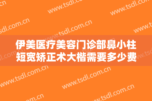 伊美医疗美容门诊部鼻小柱短宽矫正术大楷需要多少费用?效果怎么样?