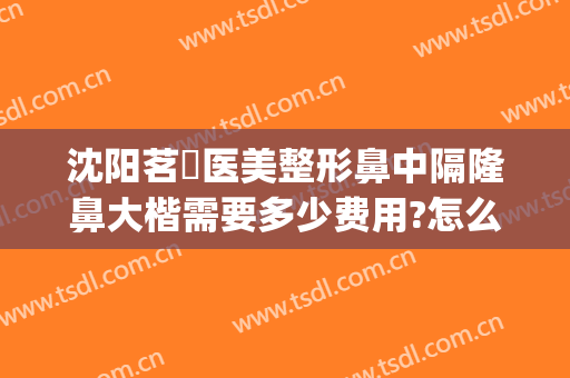 沈阳茗湲医美整形鼻中隔隆鼻大楷需要多少费用?怎么样?(沈阳茗湲医美整形医院)