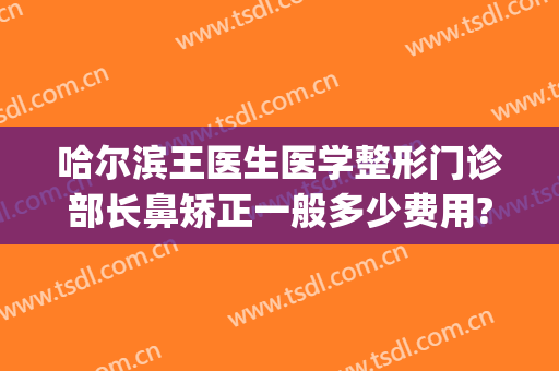 哈尔滨王医生医学整形门诊部长鼻矫正一般多少费用?怎么样?(哈尔滨鼻子整形一般多少钱)