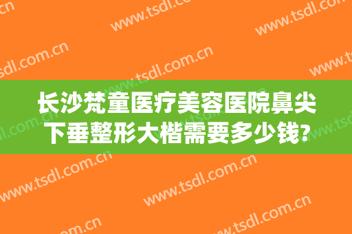 长沙梵童医疗美容医院鼻尖下垂整形大楷需要多少钱?可靠吗?(长沙梵童整形医院正规吗)