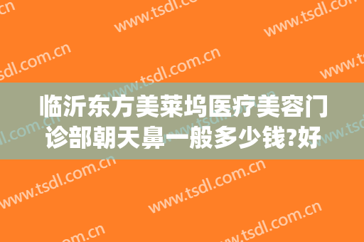 临沂东方美莱坞医疗美容门诊部朝天鼻一般多少钱?好不好?(临沂东方美莱坞怎么样)