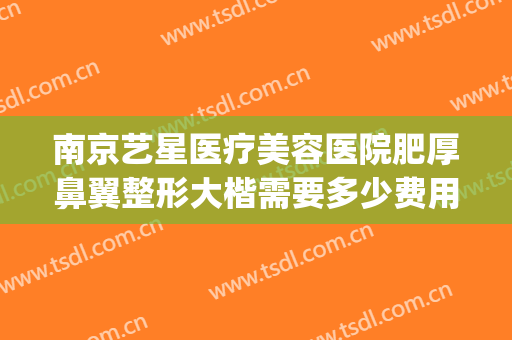 南京艺星医疗美容医院肥厚鼻翼整形大楷需要多少费用?可靠吗?(南京艺星整形医院医生介绍)
