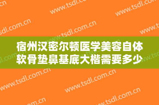 宿州汉密尔顿医学美容自体软骨垫鼻基底大楷需要多少费用?需要多久恢复?