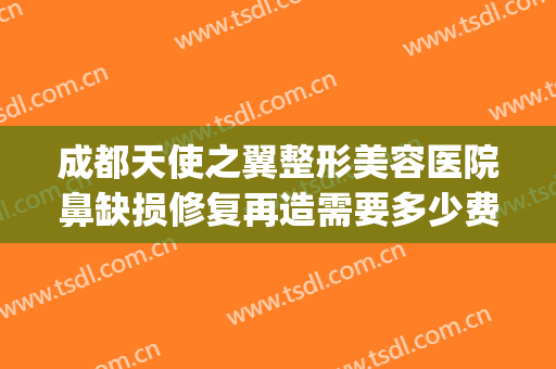 成都天使之翼整形美容医院鼻缺损修复再造需要多少费用?好不好?(成都修复鼻子好的医院)