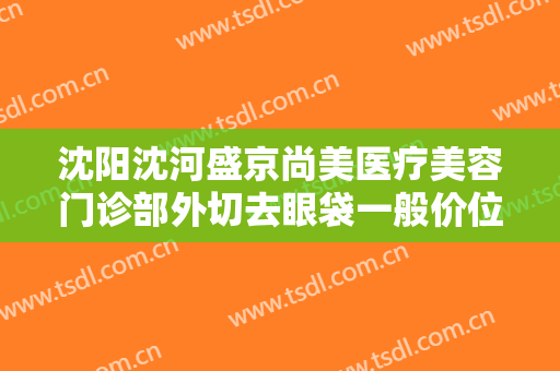 沈阳沈河盛京尚美医疗美容门诊部外切去眼袋一般价位是多少?多长时间恢复?