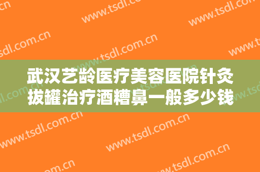 武汉艺龄医疗美容医院针灸拔罐治疗酒糟鼻一般多少钱?好不好?