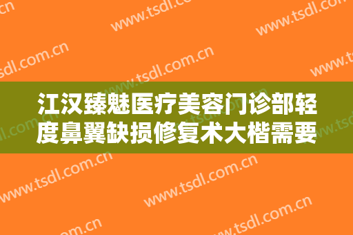 江汉臻魅医疗美容门诊部轻度鼻翼缺损修复术大楷需要多少钱?需要多久恢复?
