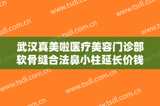 武汉真美啦医疗美容门诊部软骨缝合法鼻小柱延长价钱?效果怎么样?