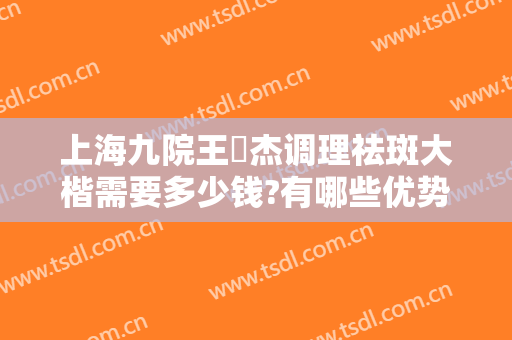 上海九院王彧杰调理祛斑大楷需要多少钱?有哪些优势?