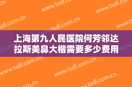 上海第九人民医院何芳邻达拉斯美鼻大楷需要多少费用?好不好?
