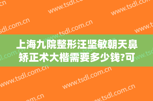 上海九院整形汪坚敏朝天鼻矫正术大楷需要多少钱?可靠吗?(上海九院整形双眼皮专家)