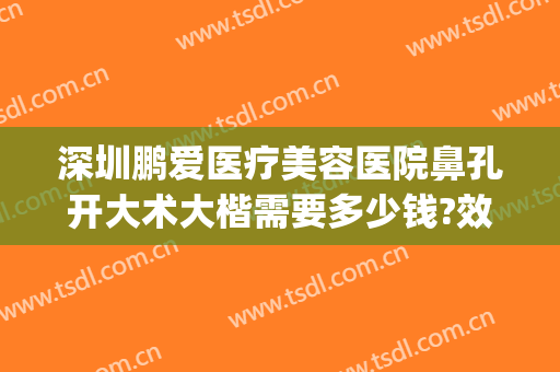 深圳鹏爱医疗美容医院鼻孔开大术大楷需要多少钱?效果怎么样?(深圳做鼻窦炎手术花多少钱)